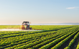 Tractor in field