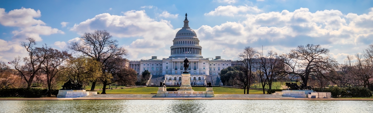 Washington DC Capitol